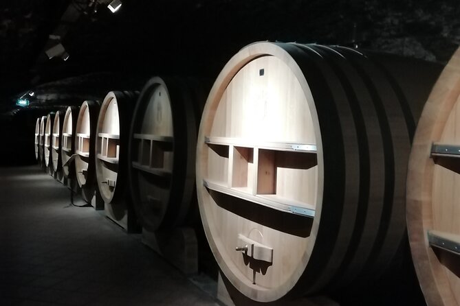 Wine Tasting Tour at Châteauneuf du Pape - Stop in Châteauneuf-du-Pape: wine country that makes sense