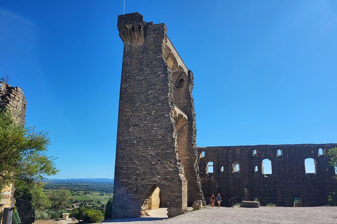 Wine Tasting Tour at Châteauneuf du Pape - Who this tour fits best