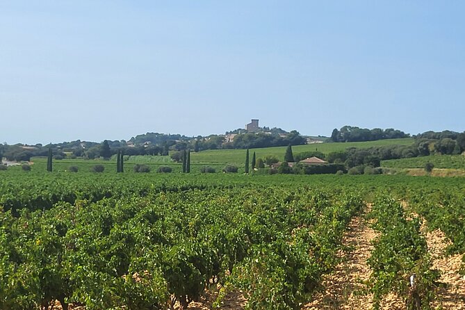 Wine Tasting Tour at Châteauneuf du Pape - What to pack (so the day stays fun)
