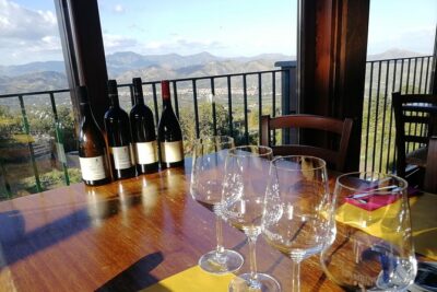 Wine Tasting Tour from Taormina - What Volcanic Soil Teaches You About Sicilian Wine