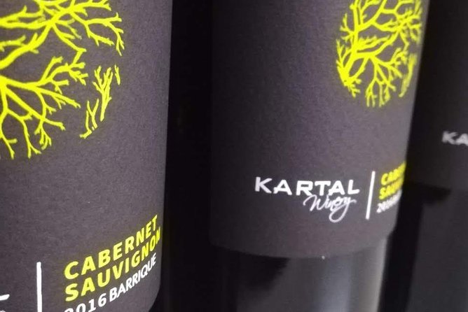 Wine Tasting Tour in Family winery Kartal in Skopje - Cheese, charcuterie, and music: why the pairing isn’t an afterthought