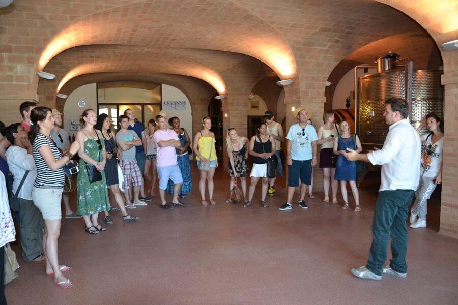 Wine tasting tour with olive oil and salami - Rimini olive oil with bruschetta: the pairing you’ll remember