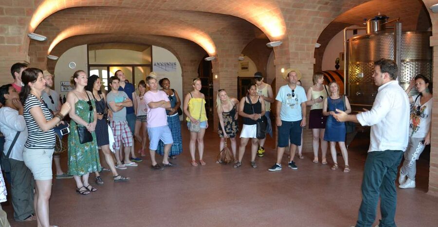Wine tasting tour with olive oil and salami - Meeting the producer where wine and olive oil grow together